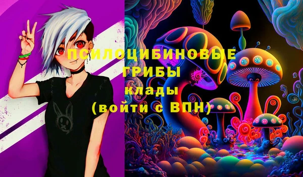 Альфа ПВП Алзамай