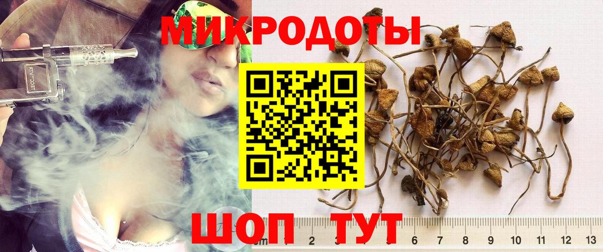 Псилоцибиновые грибы ЛСД  Галлюциногенные грибы мицелий  Вход с VPN  Новошахтинск 